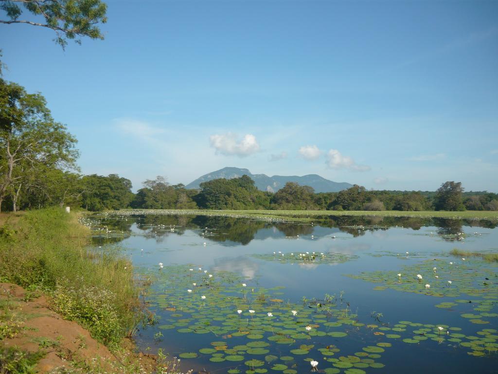 Sunrise Holiday Resort 哈伯勒内 外观 照片